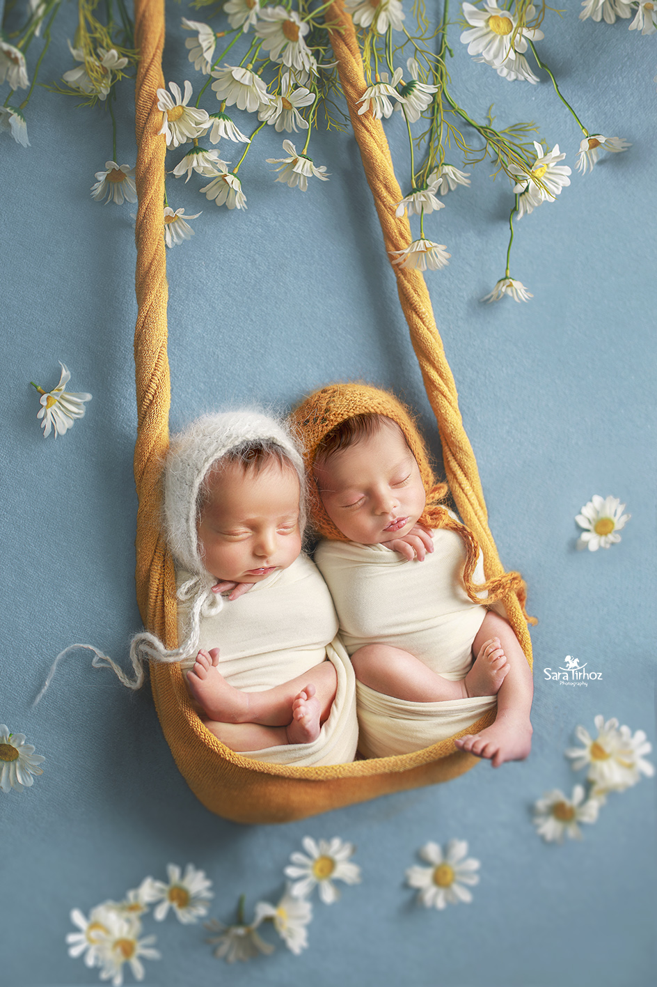 שרה טירהויז.jpg