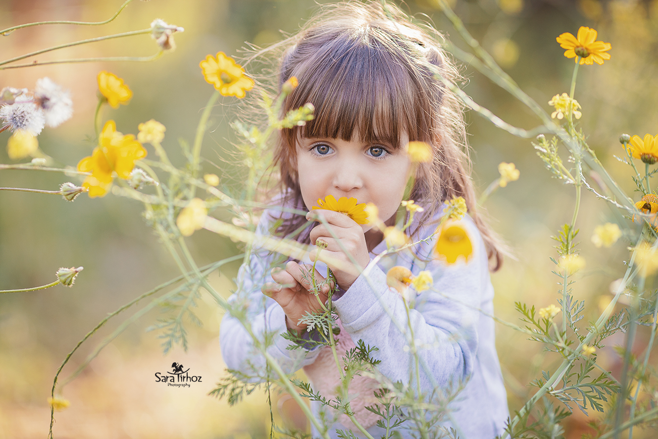 שרה טירהויז.jpg