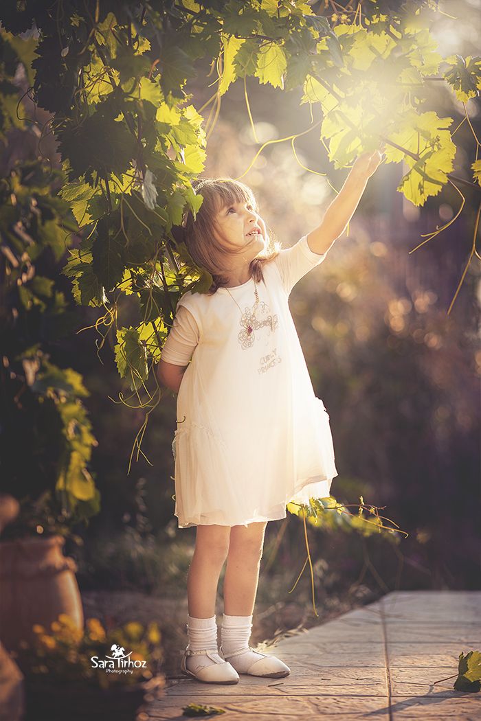 שרה טירהויז.jpg