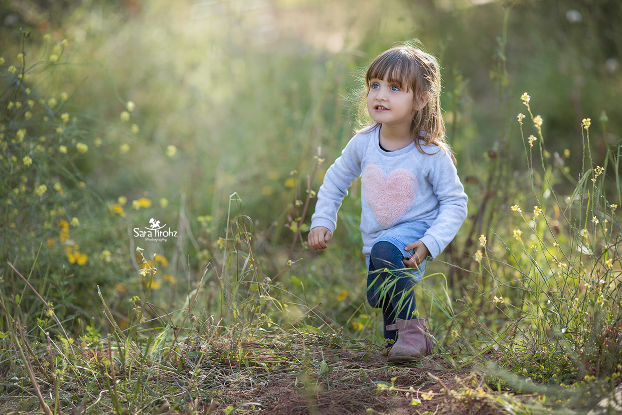 שרה טירהויז1.jpg