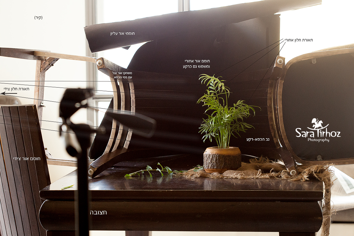 שרה טירהויז9 (1).jpg