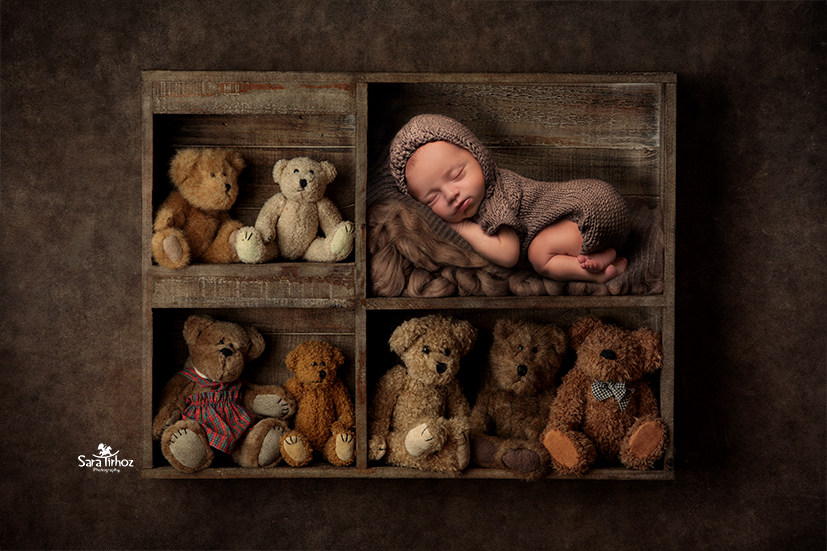 שרה טרהויז (2).jpg