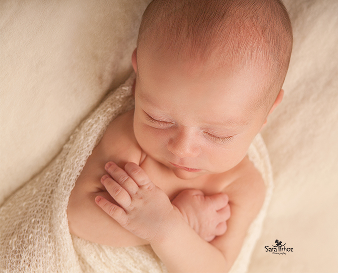 שרה טרהויז (3).jpg