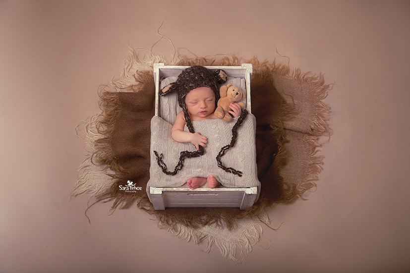 שרה טרהויז (4).jpg