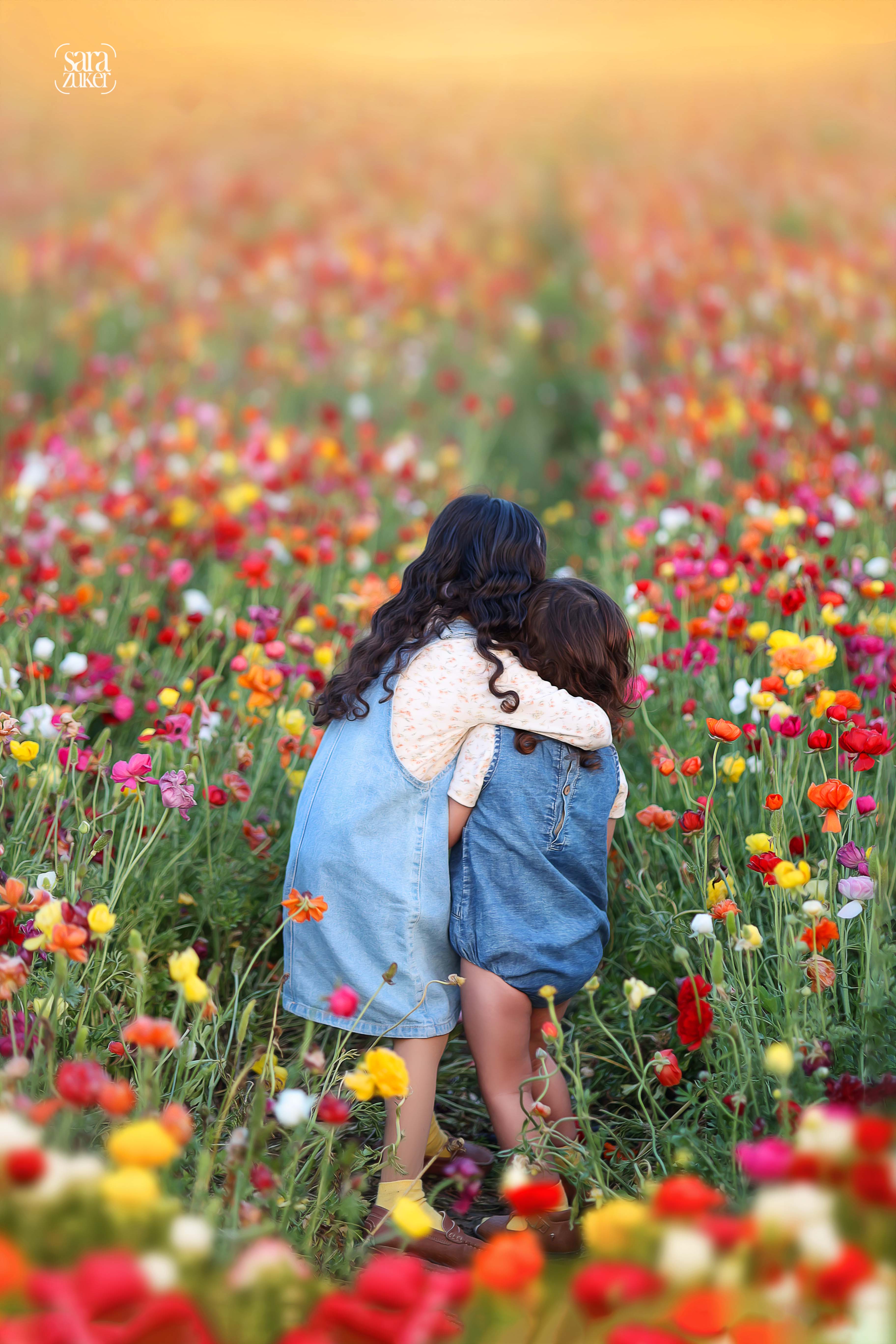 שרה צוקר נוריות 0527695445 2.jpg