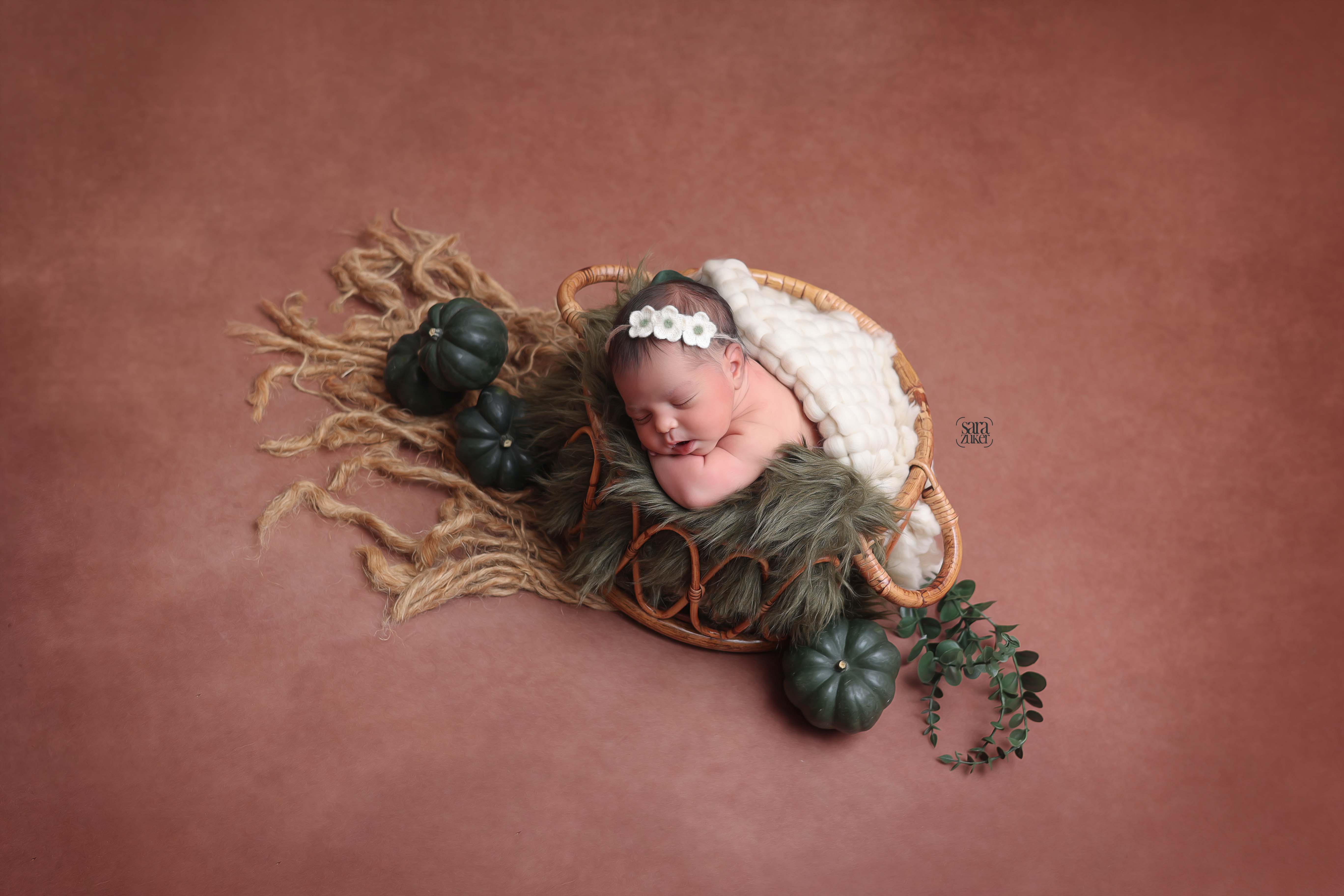 שרה צוקר צילומי ניו בורן 0527695445 (6).jpg