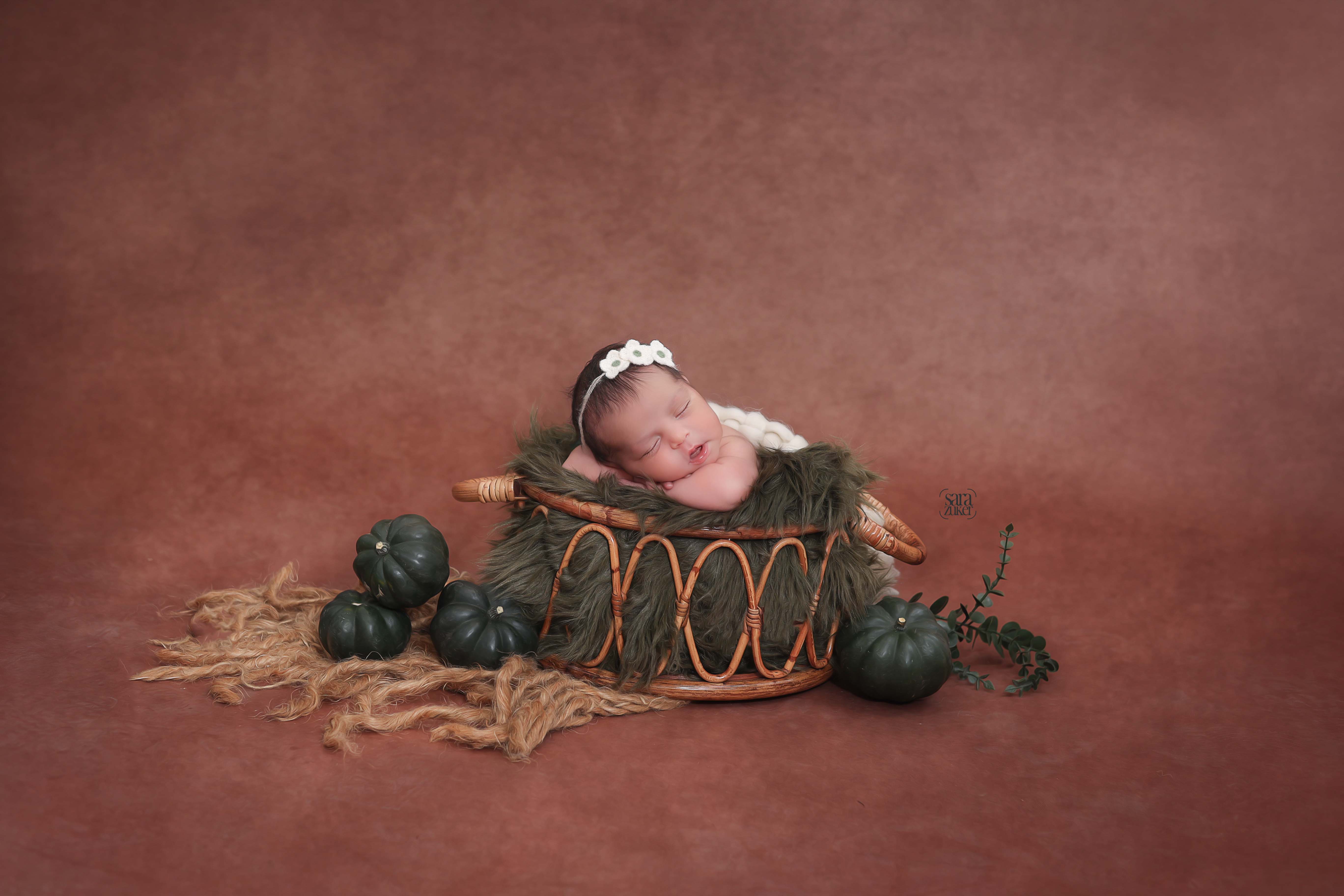 שרה צוקר צילומי ניו בורן 0527695445 (8).jpg