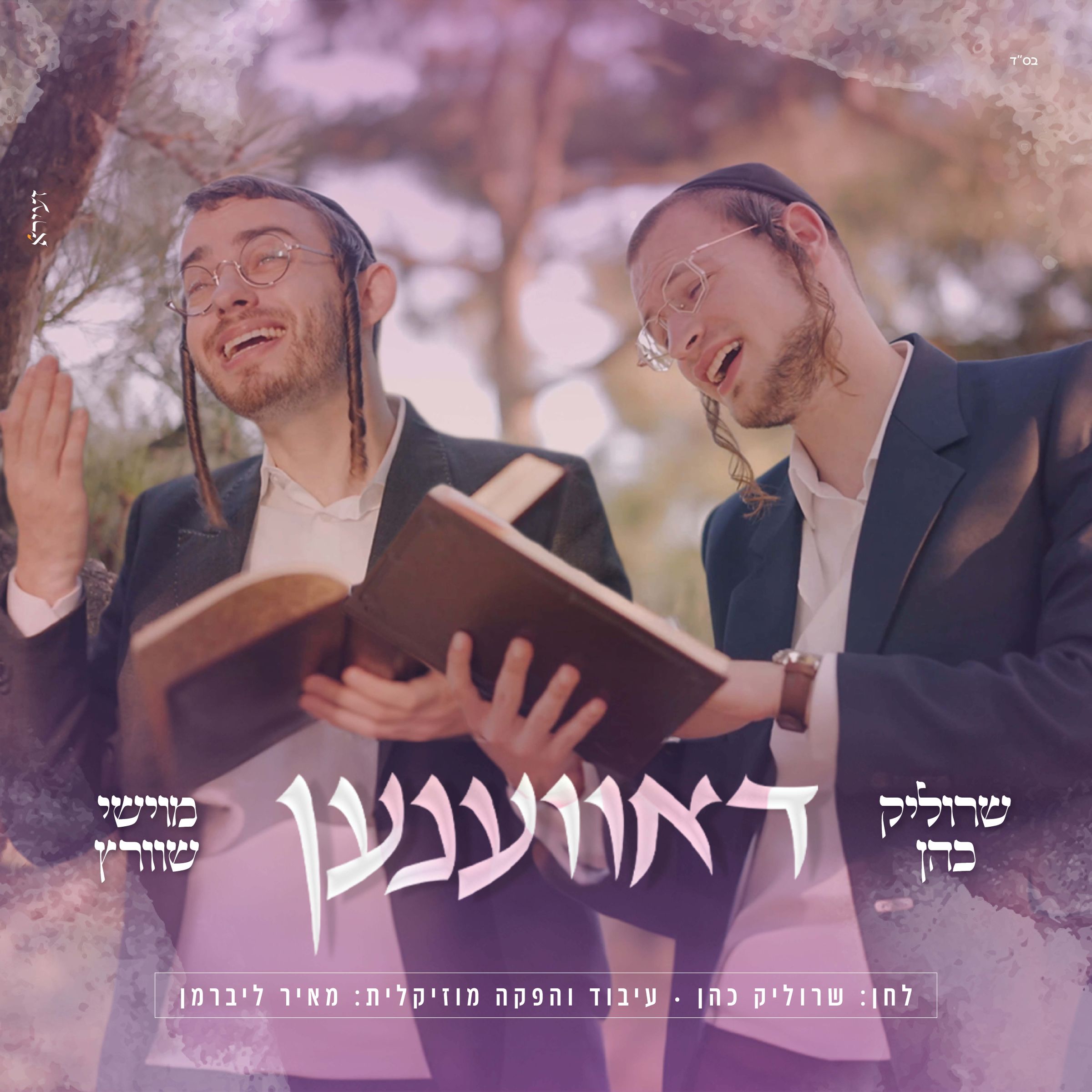שרוליק כהן & מוישי שווארץ - דאווענען.jpg
