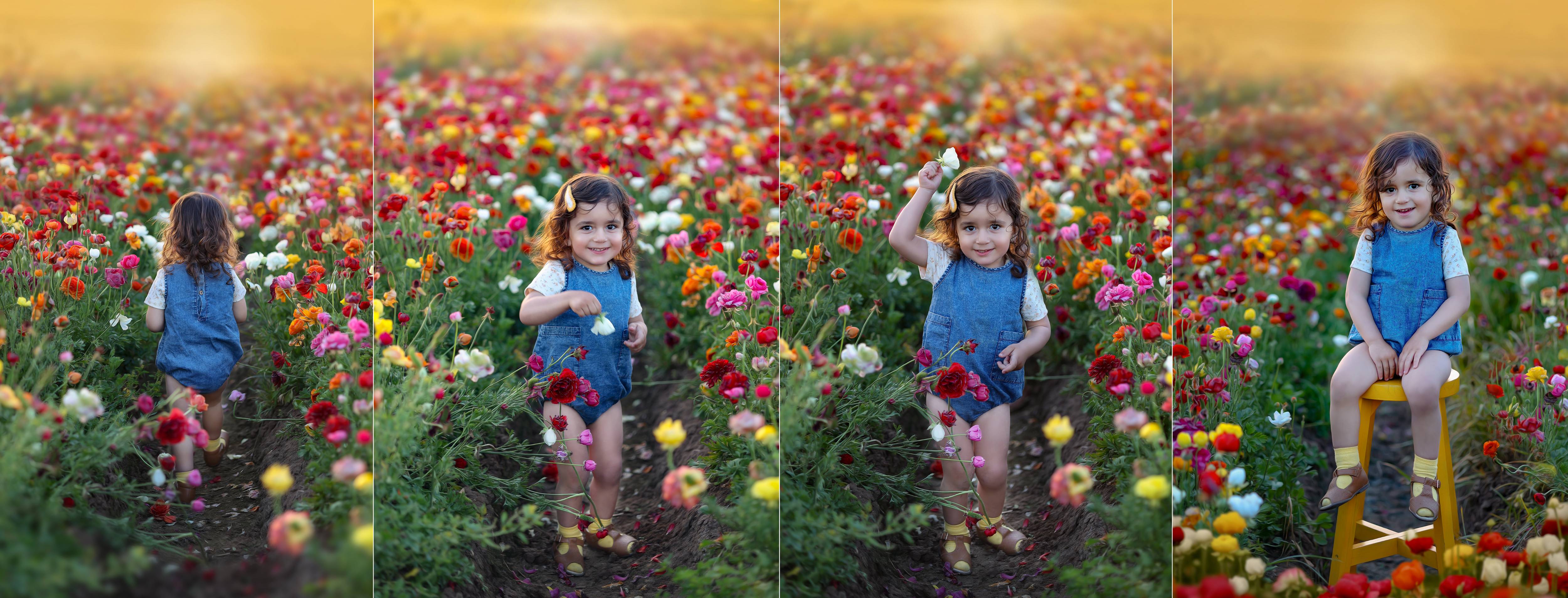 שרוליק למייל 0527695445 (11).jpg