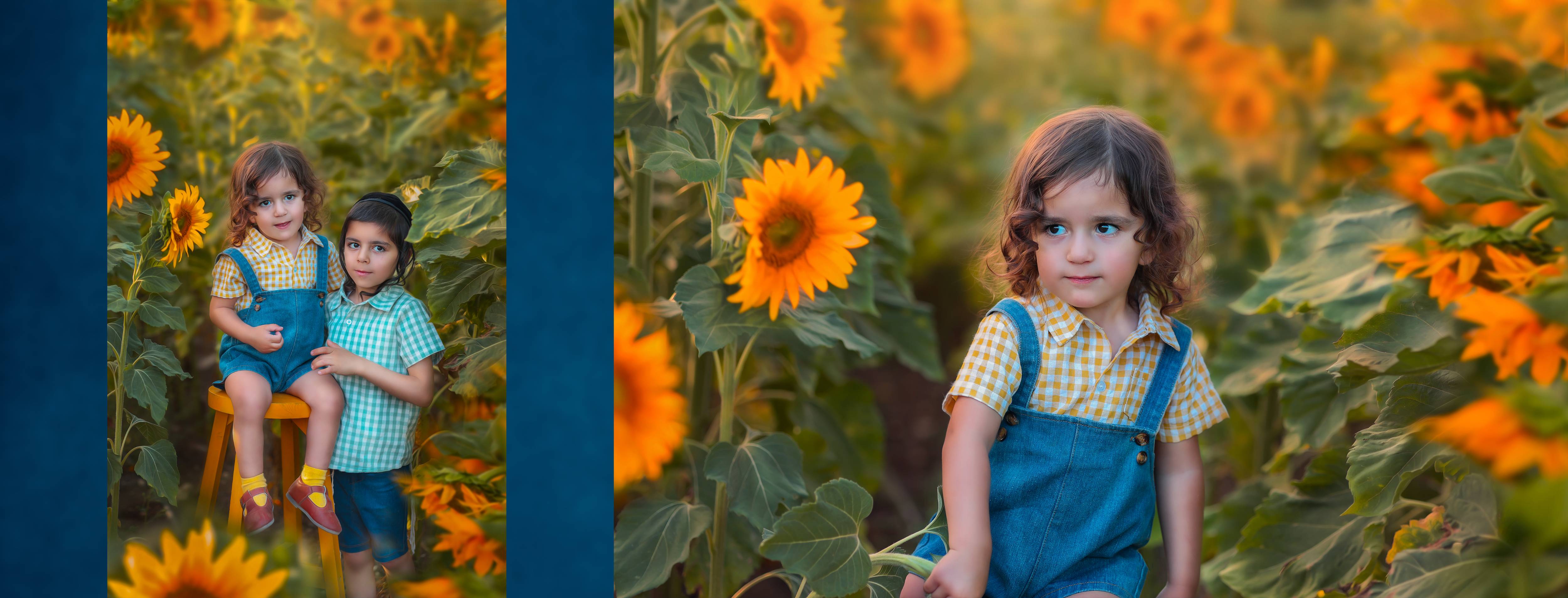 שרוליק למייל 0527695445 (3).jpg