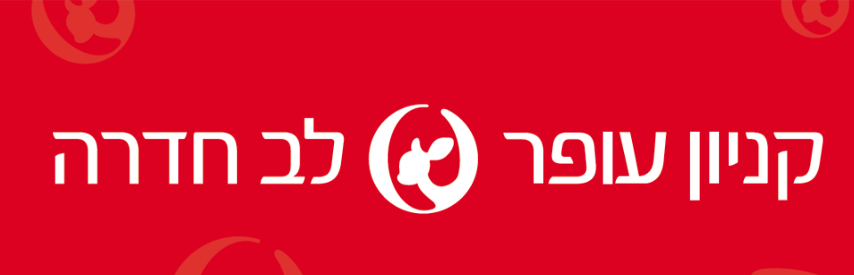 שרטוט.png