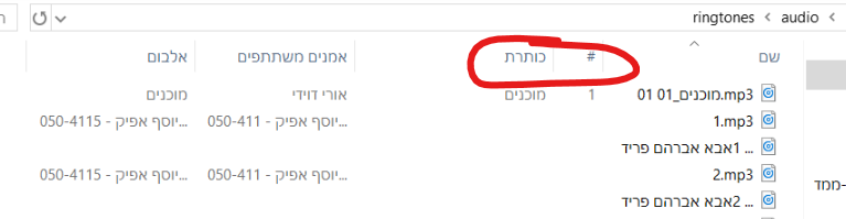 שרטוט.png