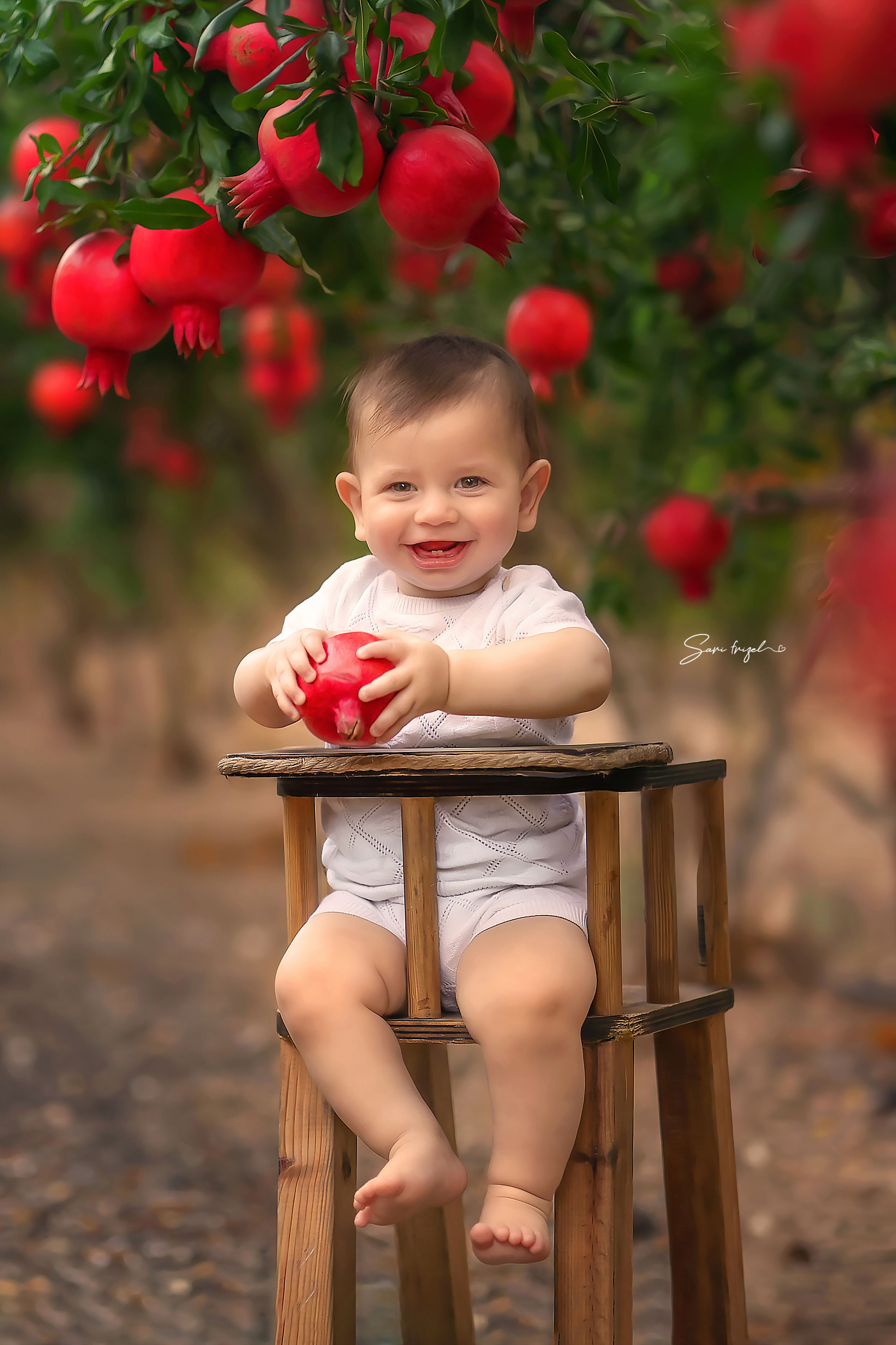 שרי פריזל צלמת 055-6786765 (11).jpg