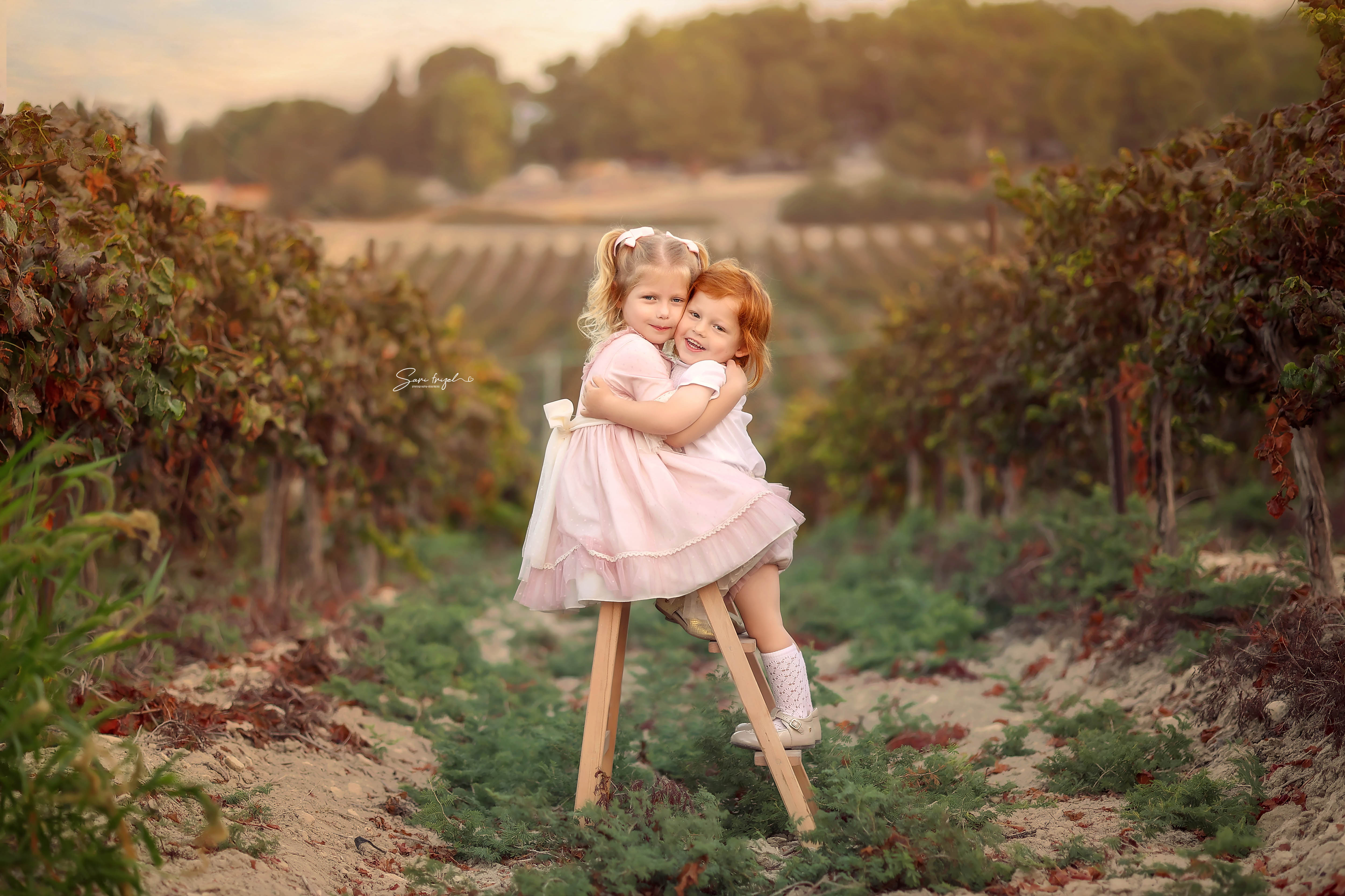 שרי פריזל 0556786765 (1).jpg