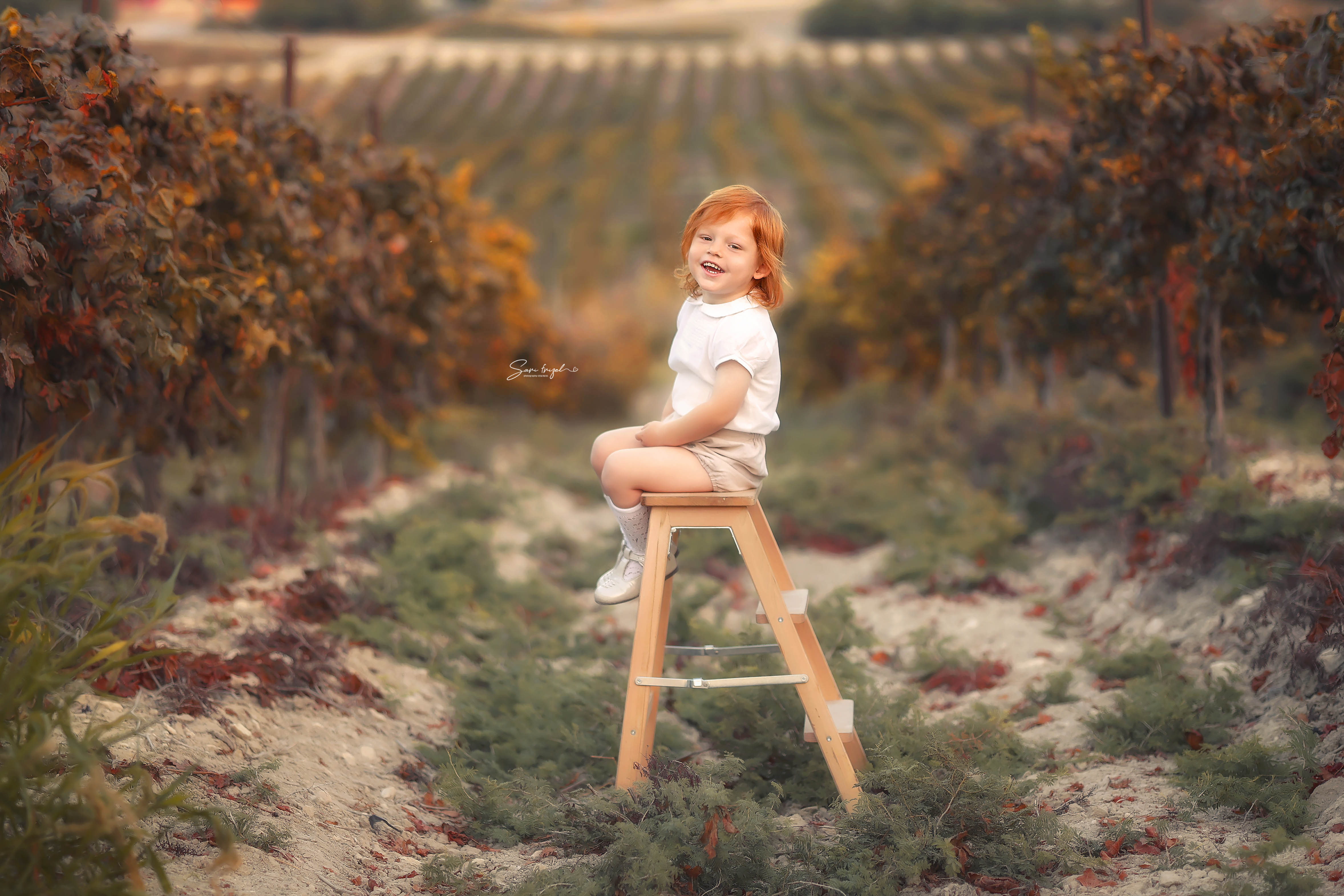 שרי פריזל 0556786765 (2).jpg