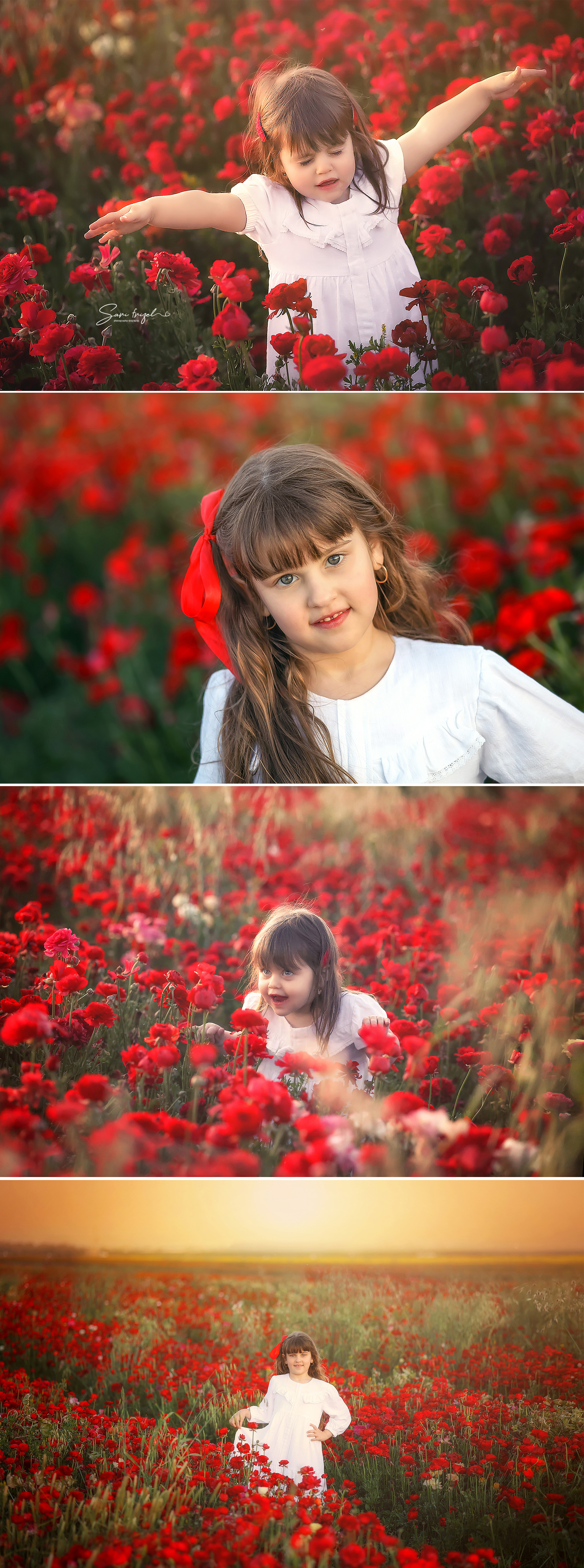 שרי פריזל 0556786765.jpg