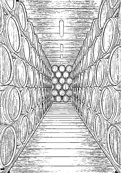 שתי שורות.png