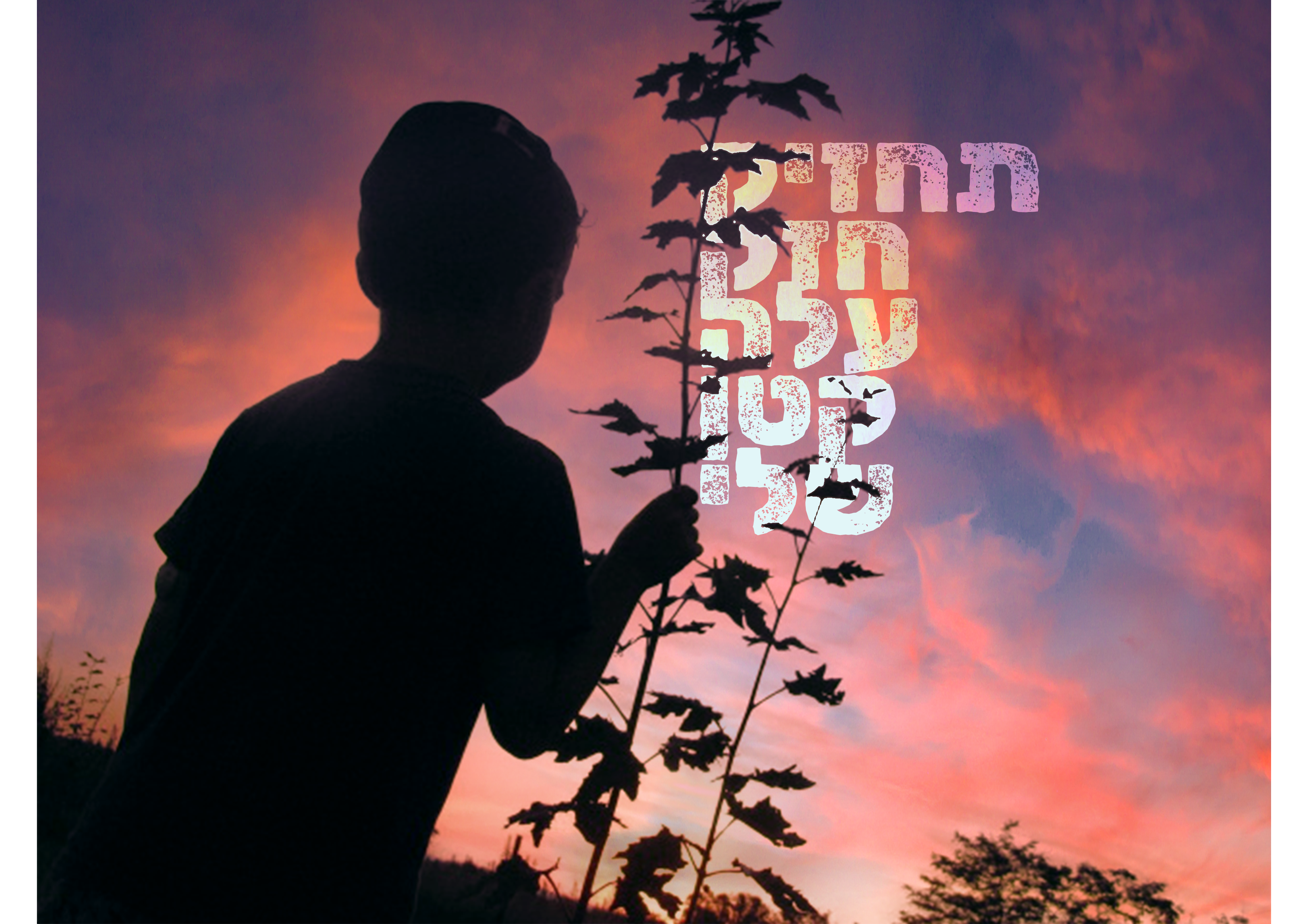 ש.ב. עלה קטן.png