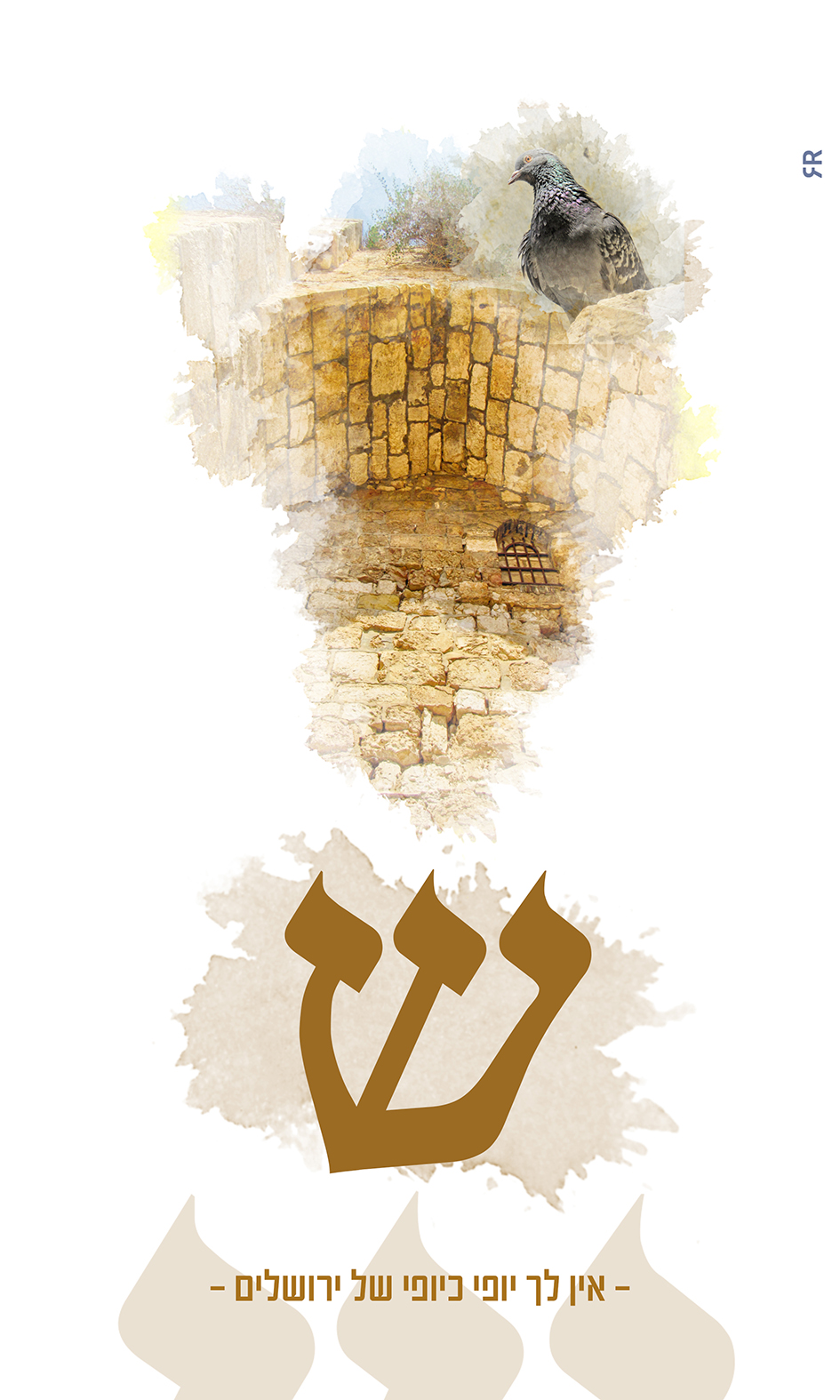 ש MeirRoshDesign.jpg