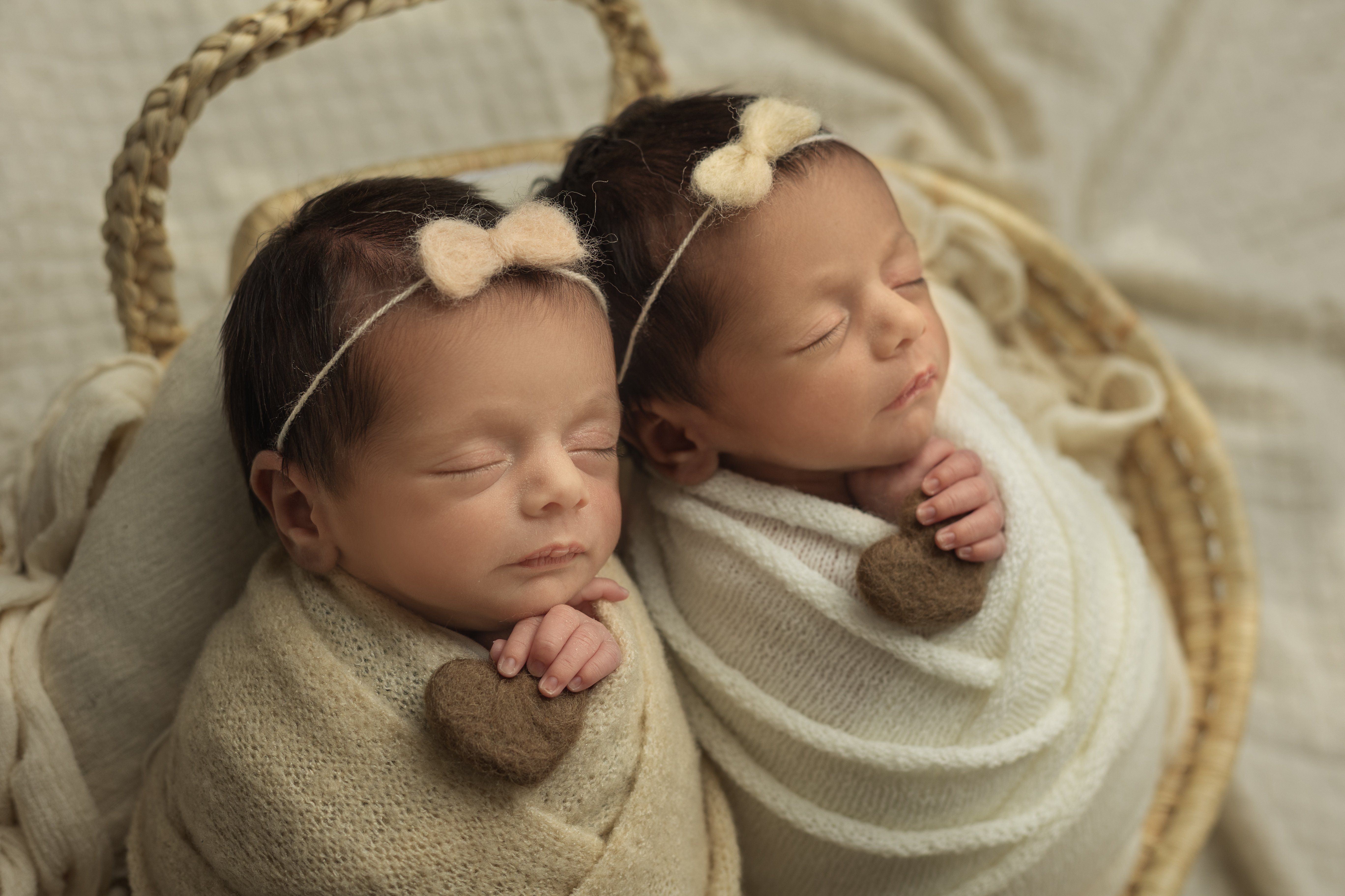 תאומות copy.jpg