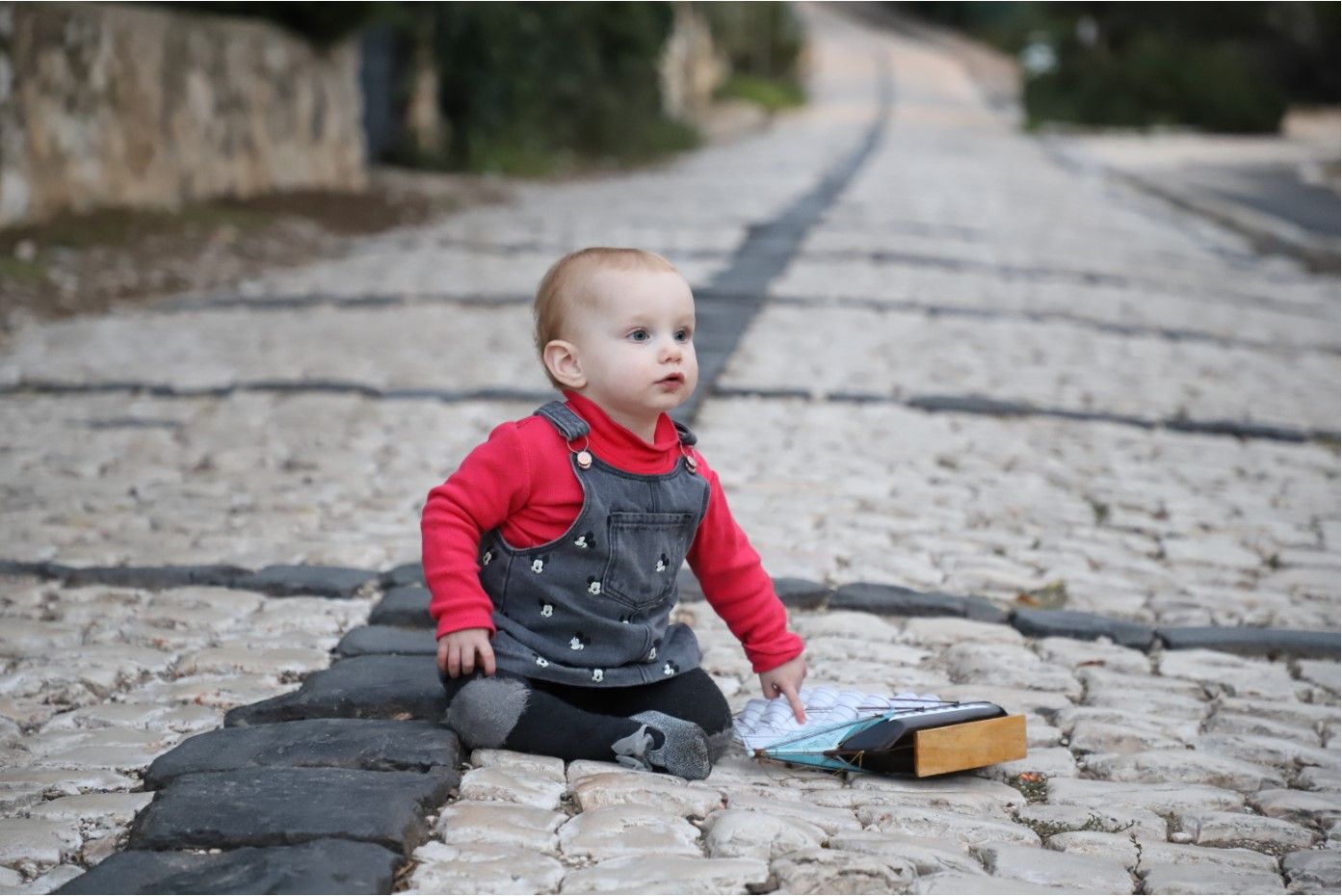 תאורה קידמית.jpg
