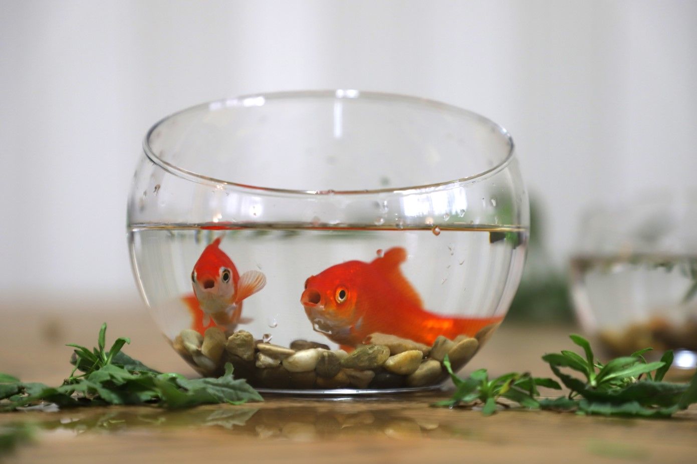 תאורה רכה.jpg