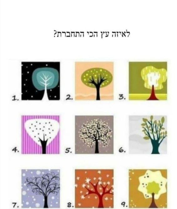 תבחר עץ ואגיד לך מי אתה (4).jpg