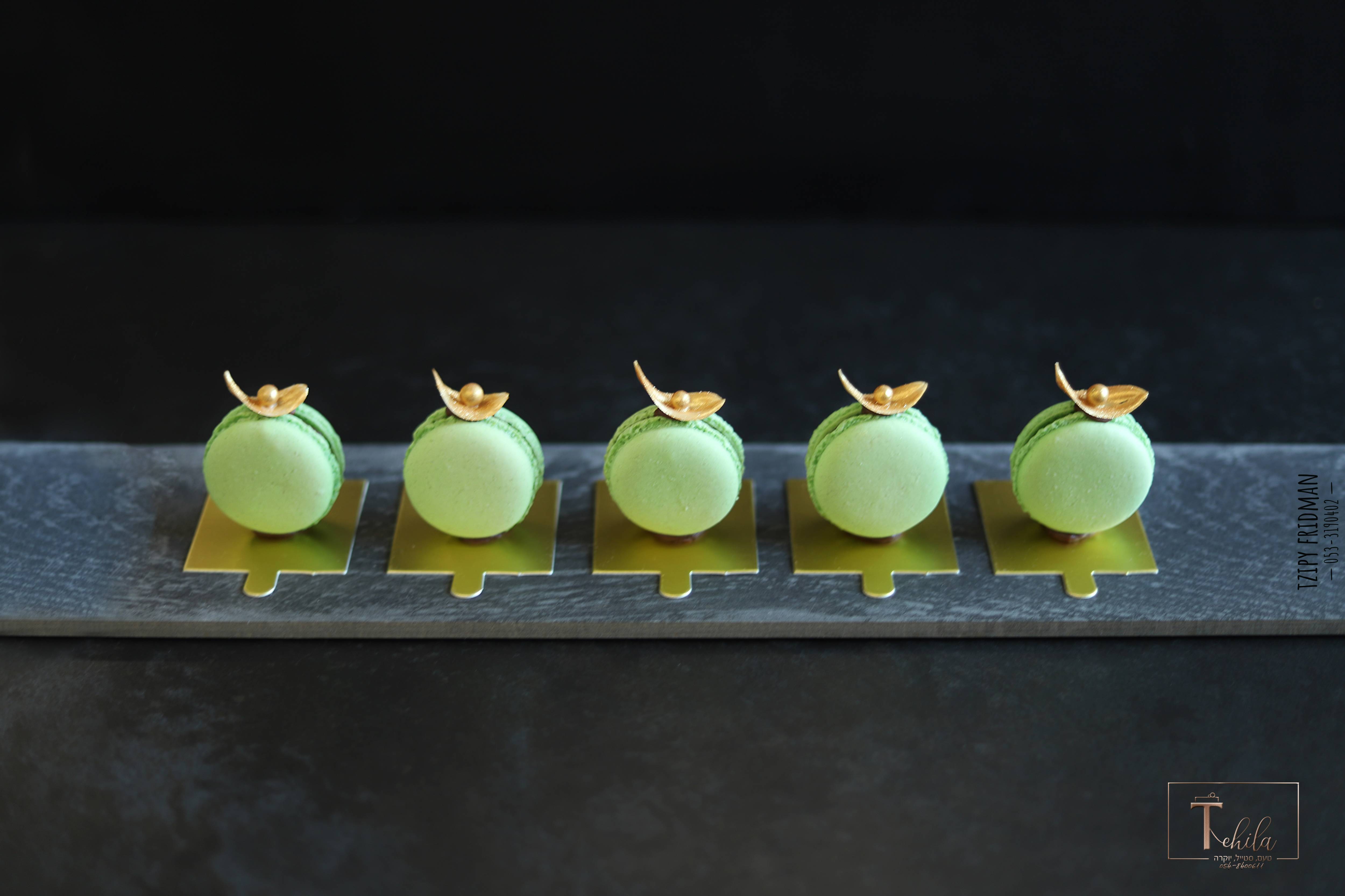 תהילה א מוקטן (11).jpg