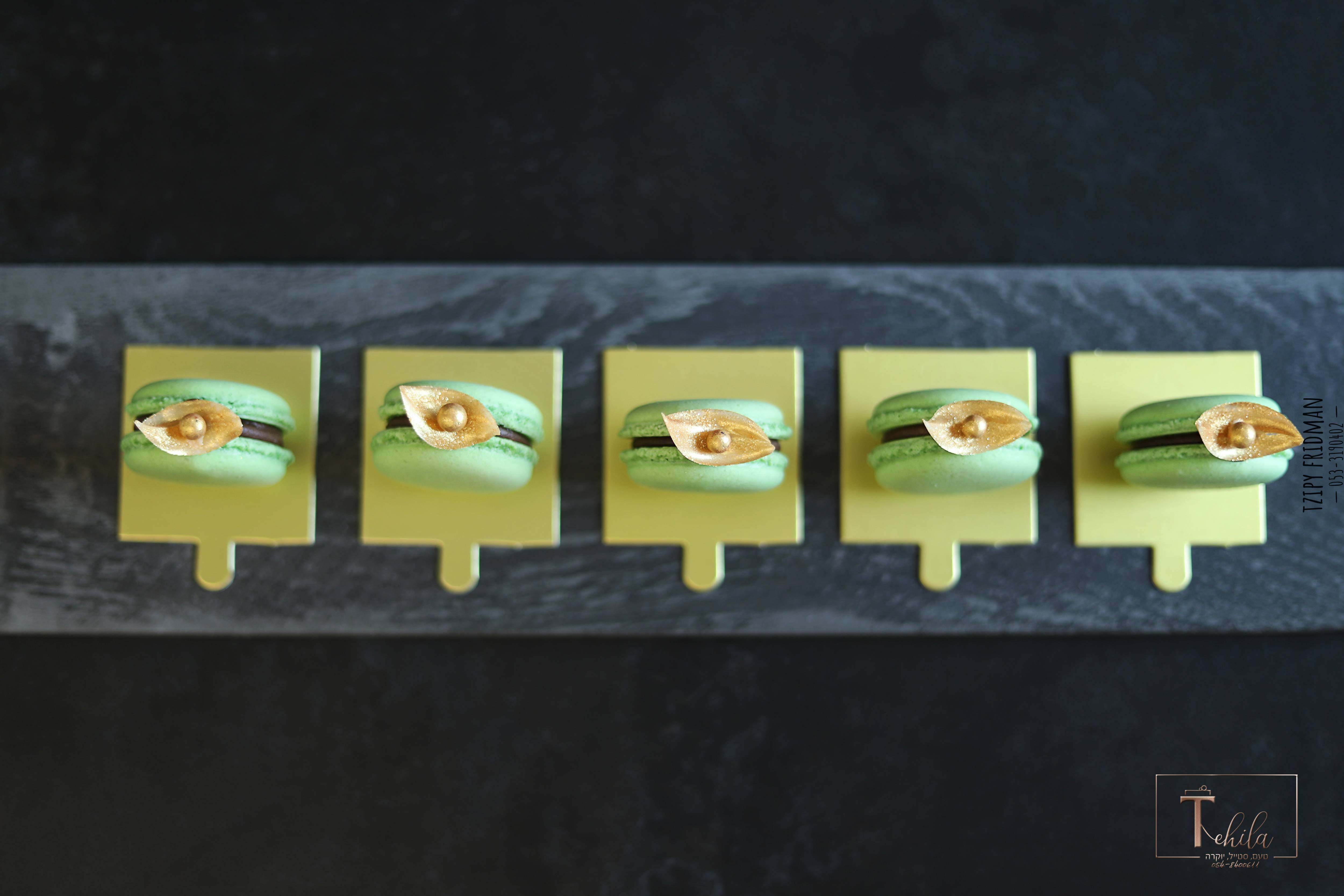 תהילה א מוקטן (12).jpg