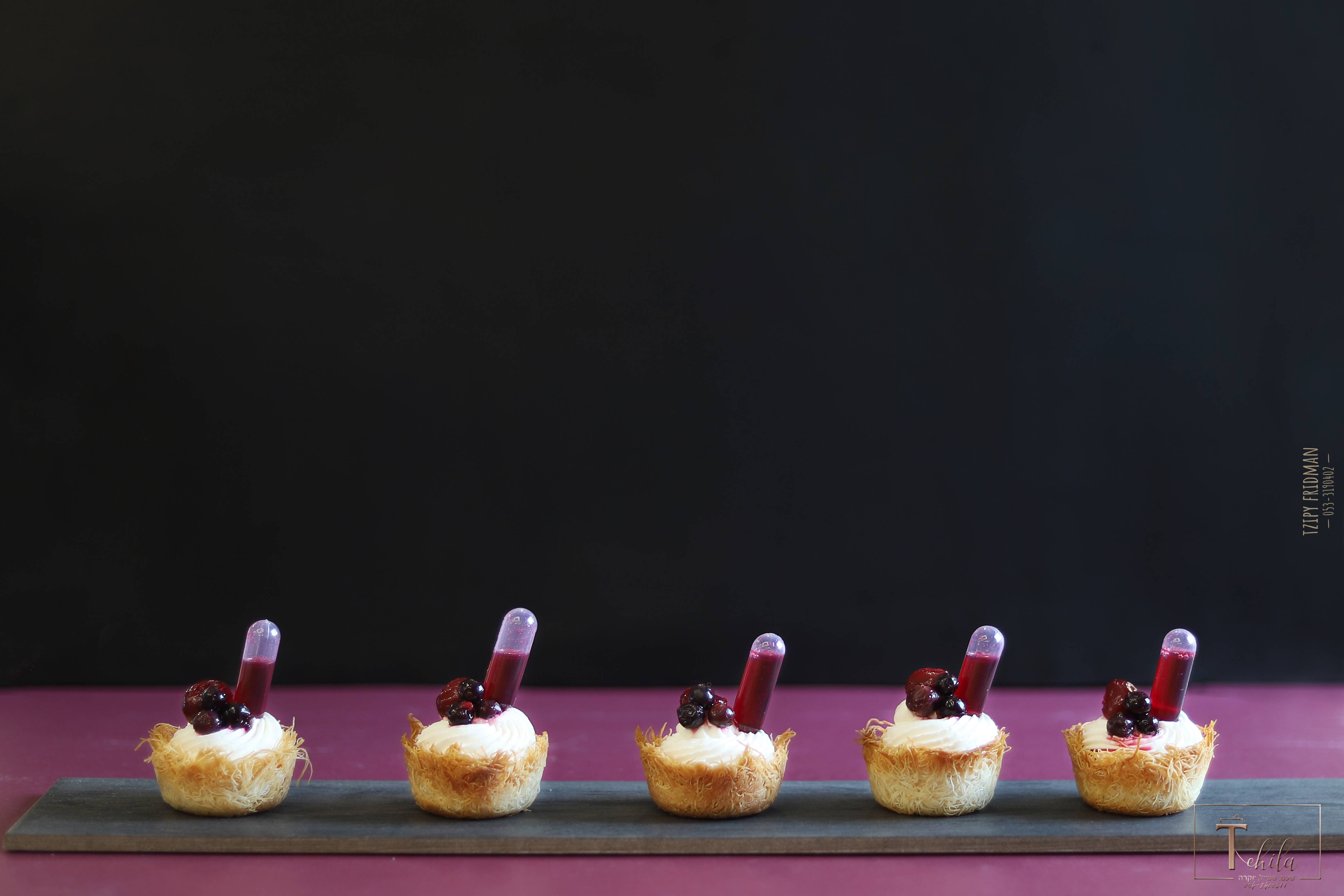 תהילה א מוקטן (2).jpg