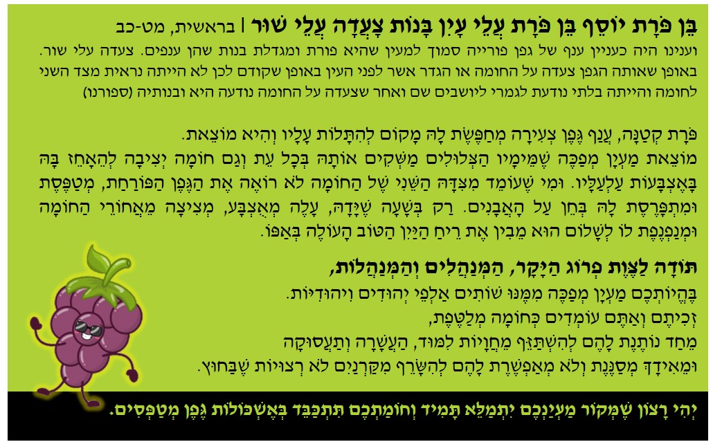 תודה לפרוג.jpg