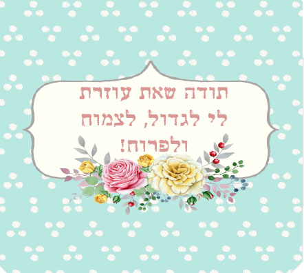 תודה-ש-בת.jpg