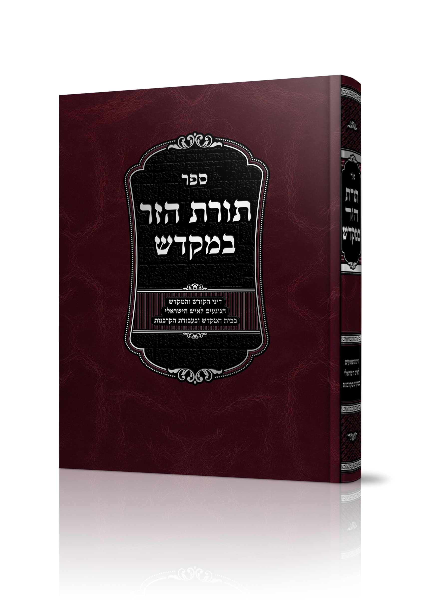 תורת הזר הדמיה (1).jpg