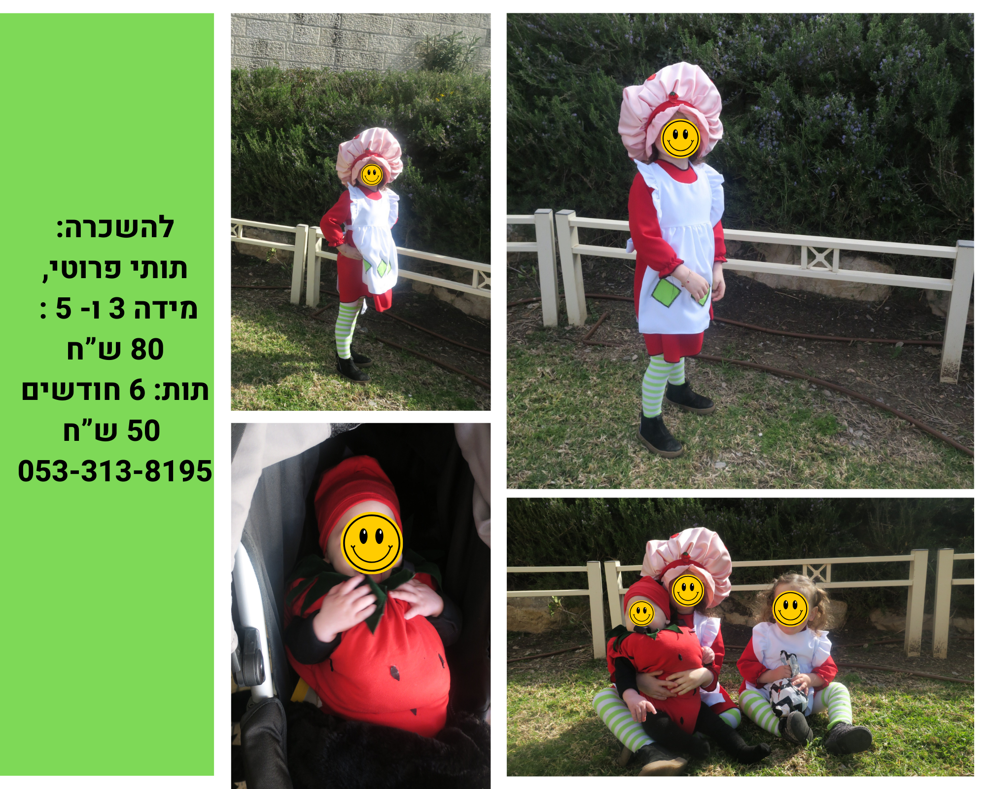 תותים להשכרה.png