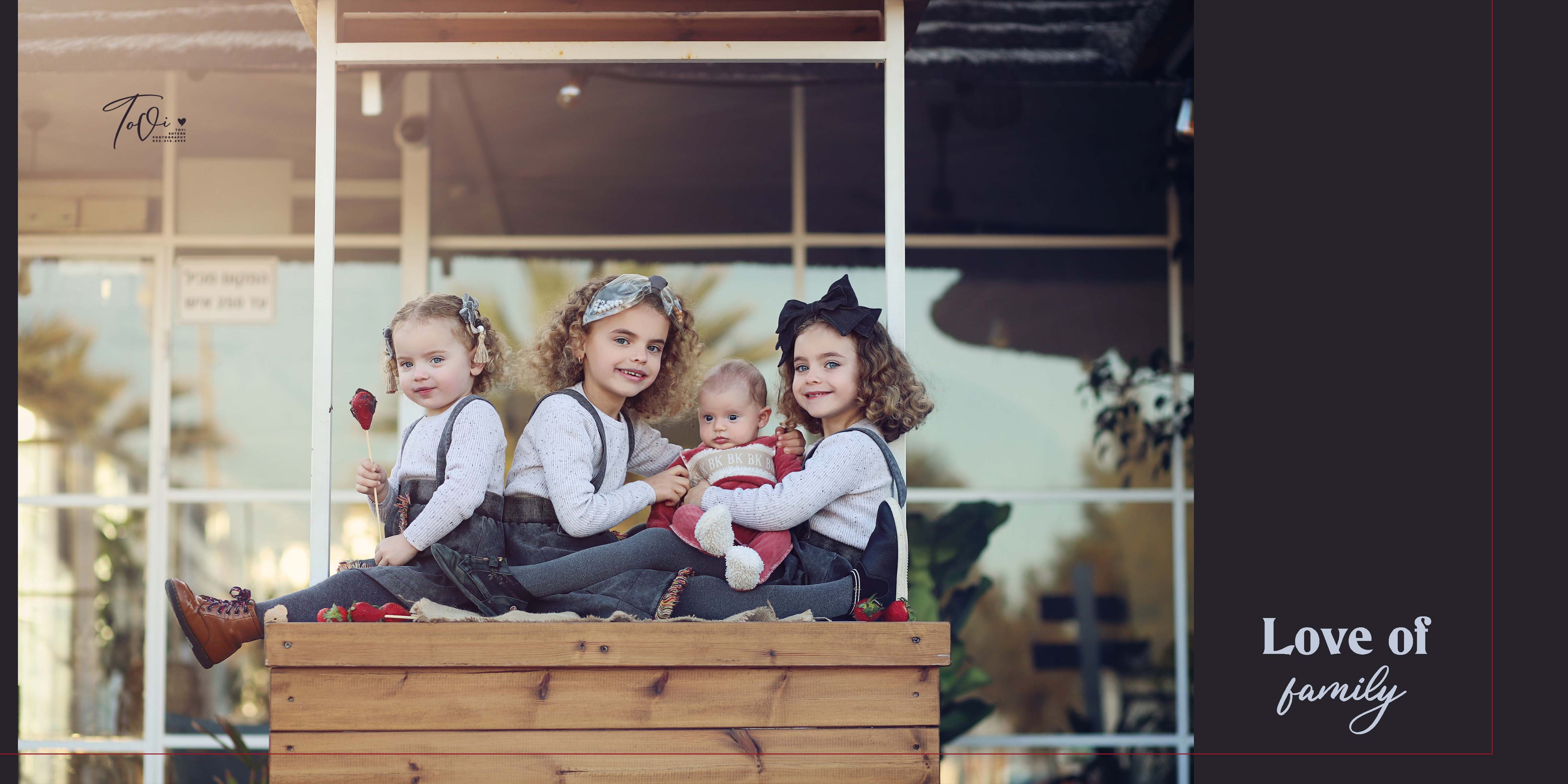 תותים משפחתי.jpg