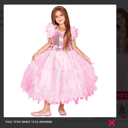 תחפושת ברבי.PNG