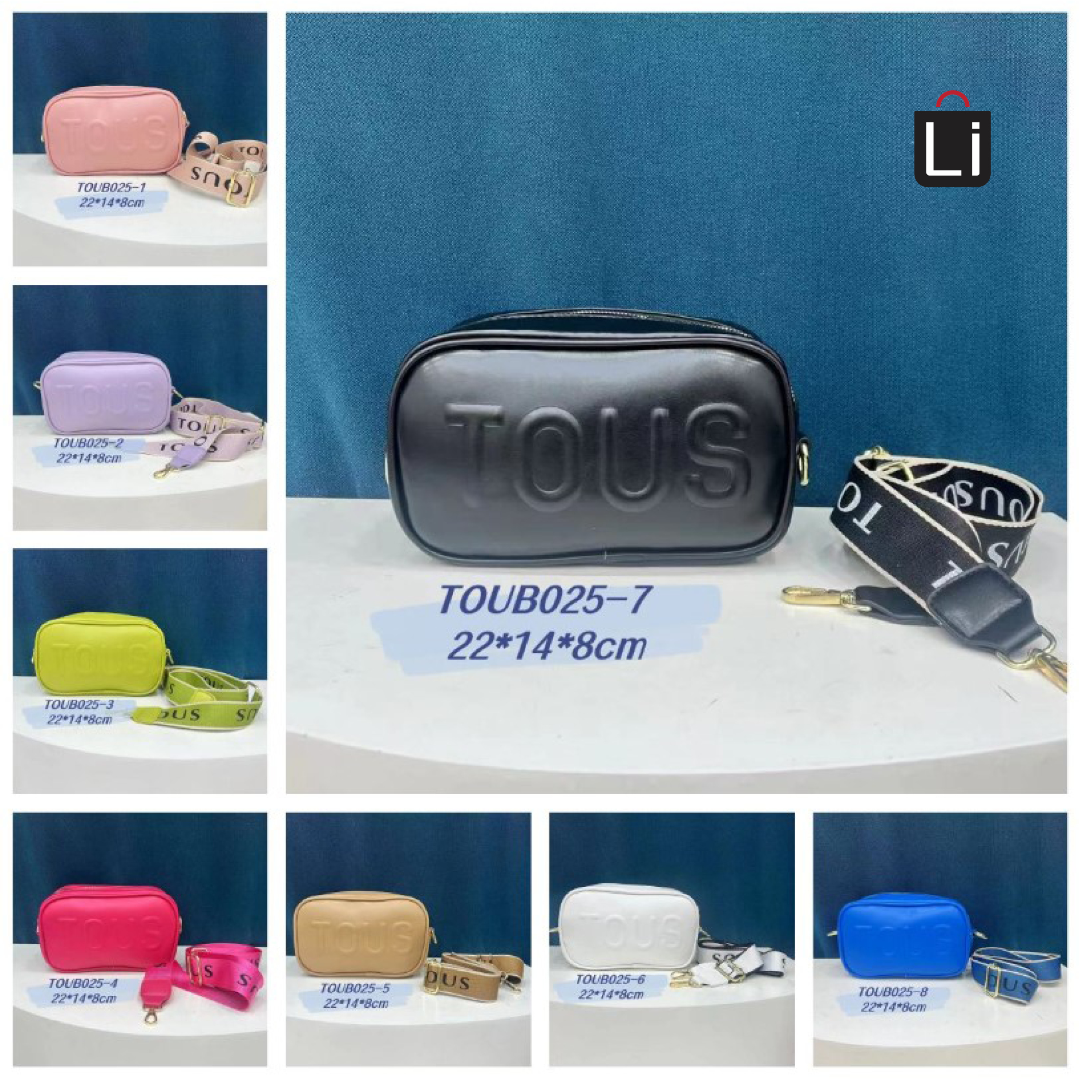 תיק טואוס.jpg