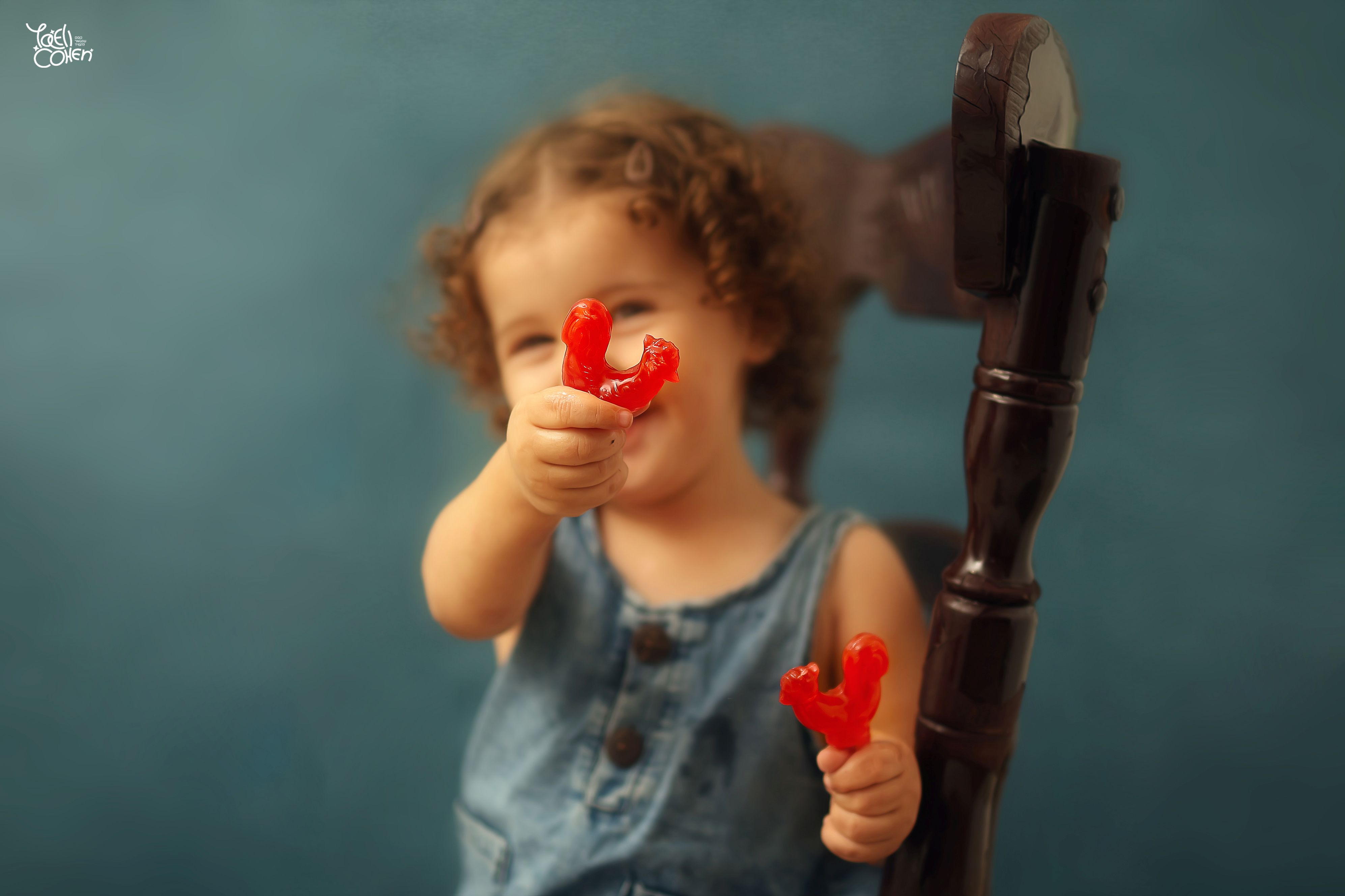 תיק עבודות 41.jpg