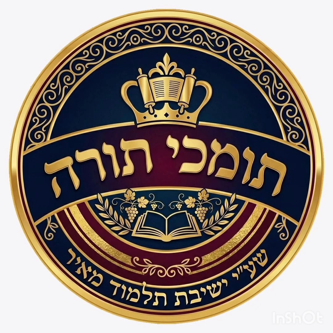 תלמוד מאיר.jpg