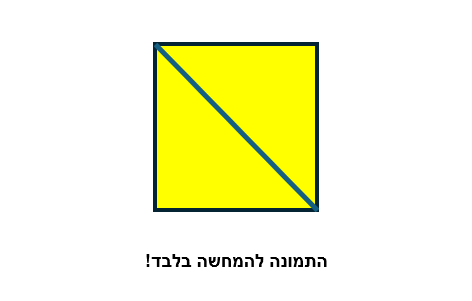 תמונה אלכסון (1).png