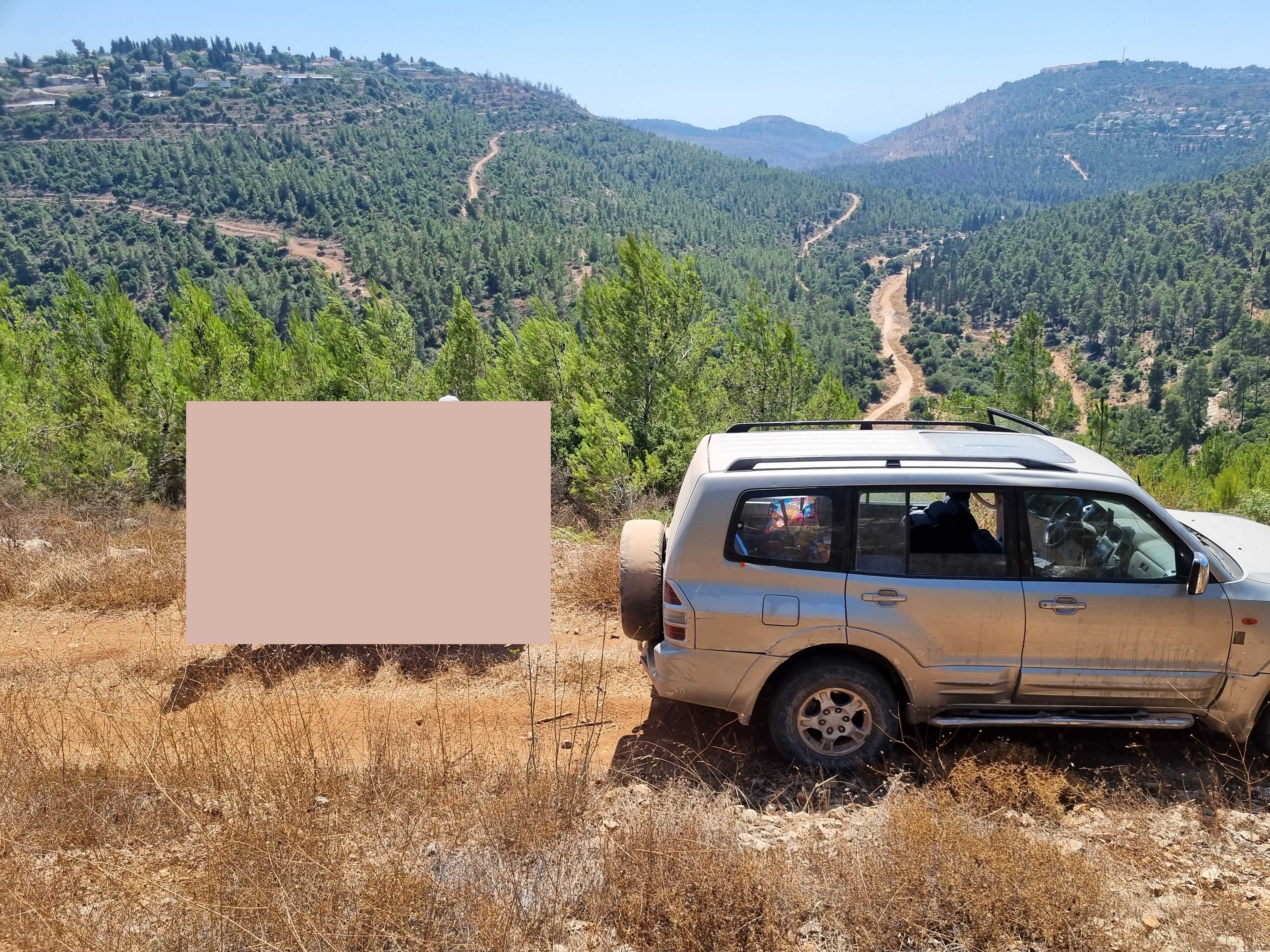 תמונה גיפים צין (1).jpg