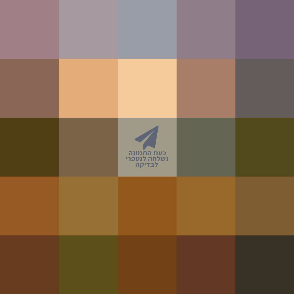 תמונה הכי יפה בעולם.jpg