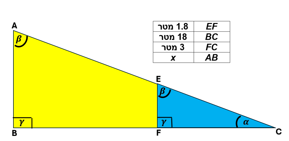 תמונה וורד 4.png