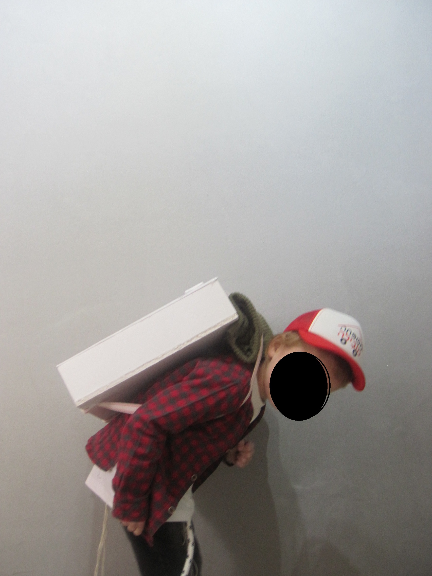 תמונה לפרוג.jpg