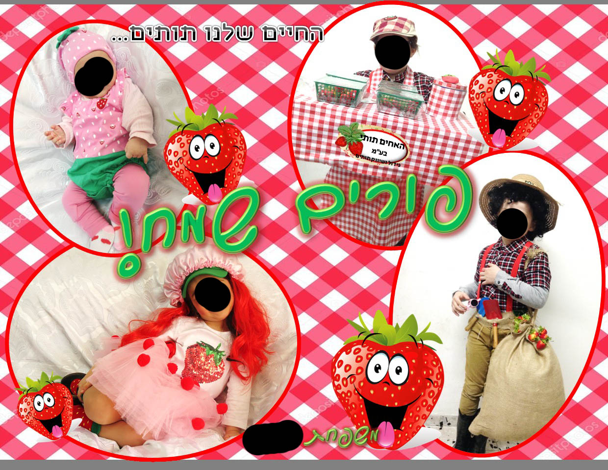 תמונה לפרוג.jpg