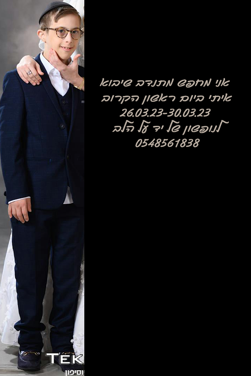 תמונה לפרוג.png