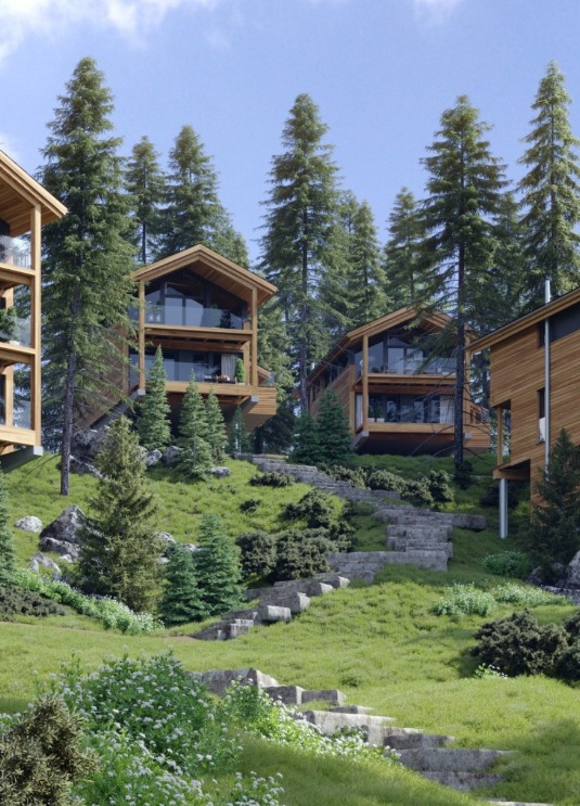 תמונה ל ai 1.jpeg