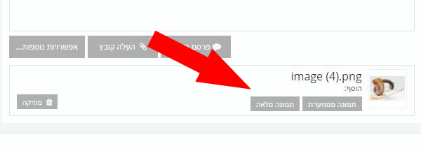 תמונה מלאה העתק.jpg