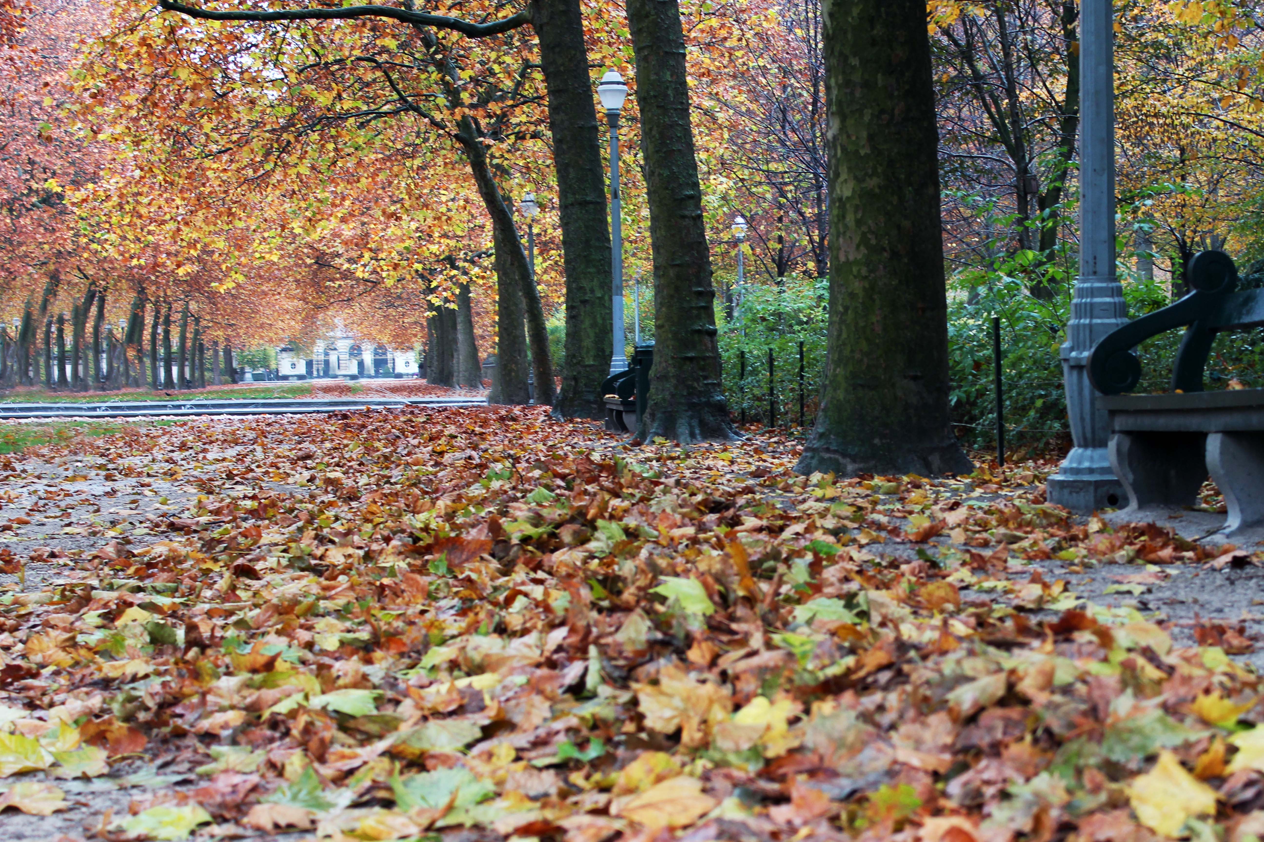 תמונה מעובדת 01.jpg