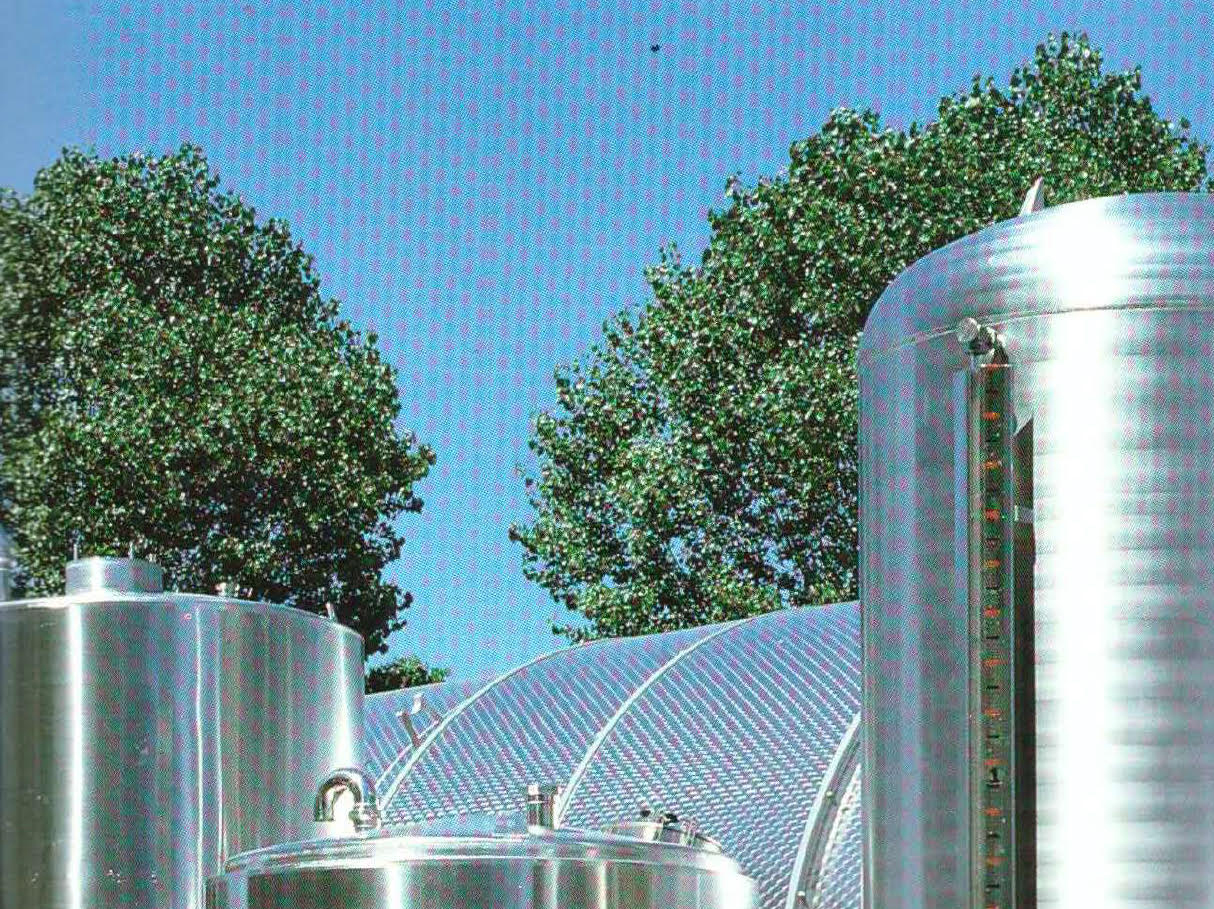 תמונה סרוקה.jpg